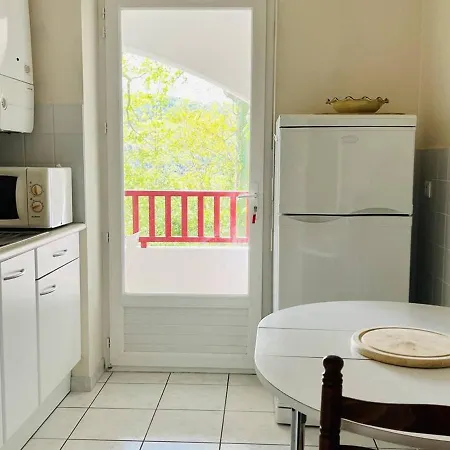 Cambo-les-bains, 2 Pièces, 2 Personnes - Fr-1-495-61 *